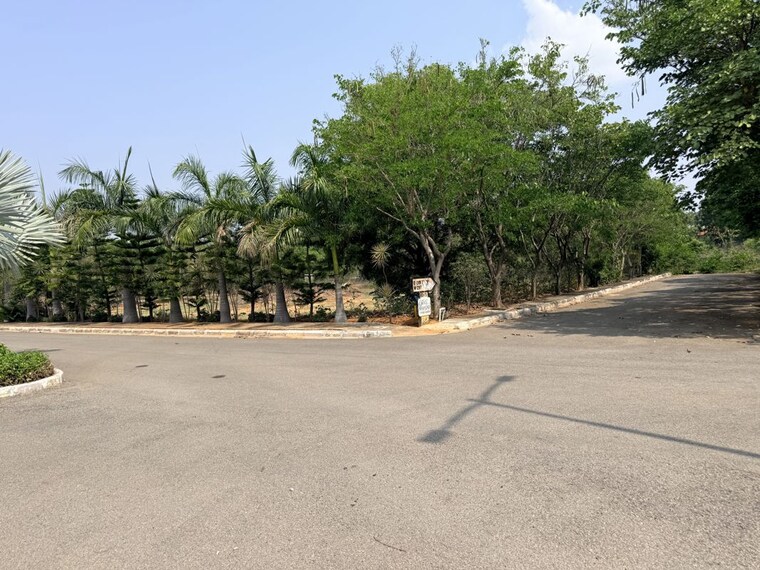 Exterior View, thummaloor  200 Sq.Yd. Plot In Thummaloor Hyderabad 10484223