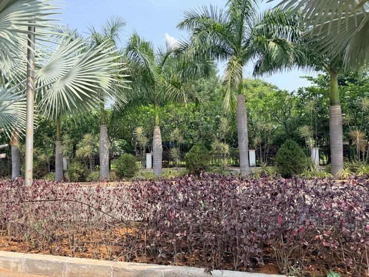 undefined, thummaloor  200 Sq.Yd. Plot In Thummaloor Hyderabad 10484223