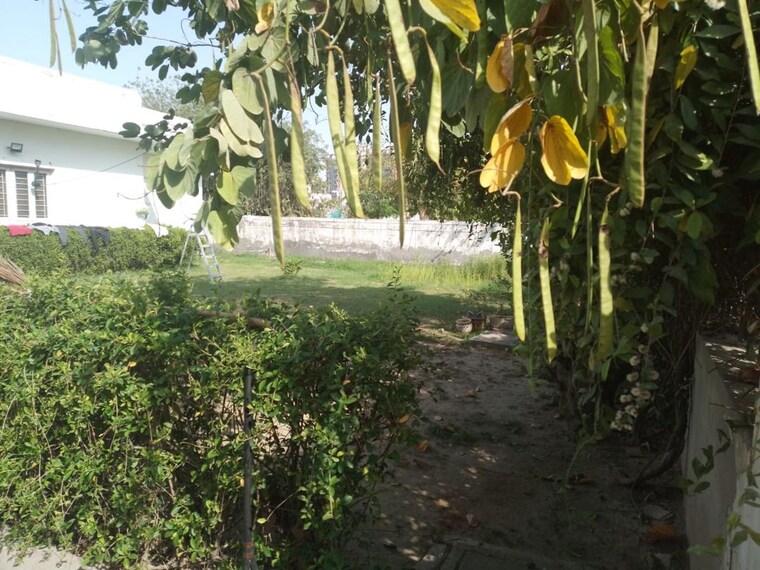 Garden, sector 1 wave city  125 Sq.Yd. Plot In Sector 1 Wave City Ghaziabad 10489167