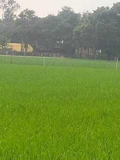 Plot For Sale in Anora Kala