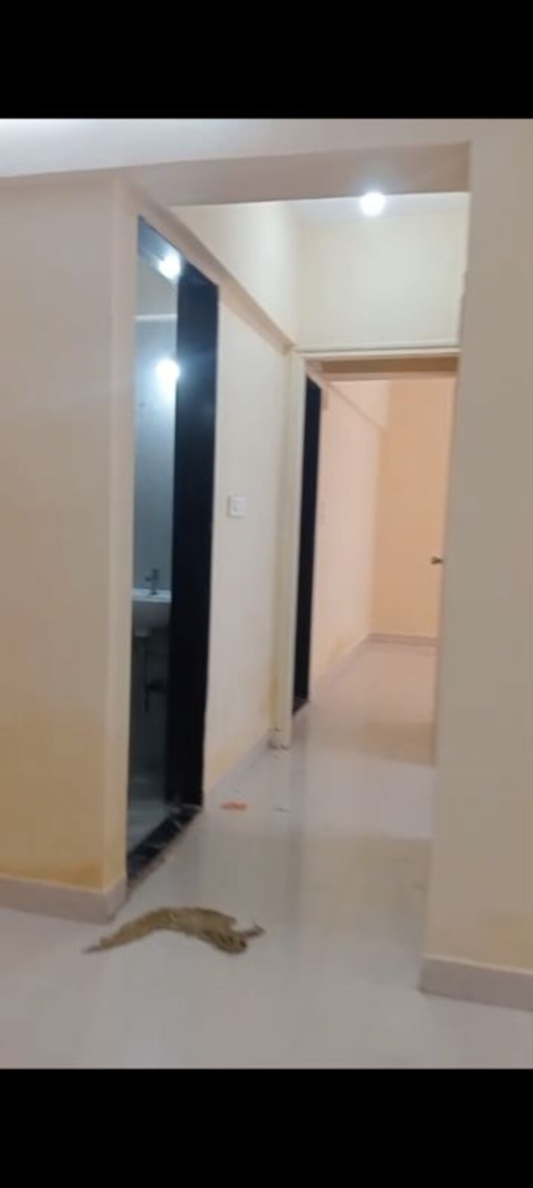 undefined, hdil-premier-exotica 1 Bedroom 460 Sq.Ft. Apartment In Kurla West Mumbai 10489214