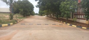 Plot Area in  Plot at Fortune 18, Amangal – for Sale