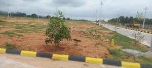 Plot Area in  Plot at Fortune 18, Amangal – for Sale