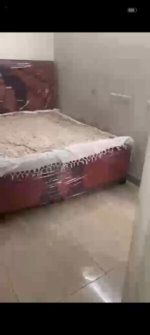 1 BHK Apartment For Rent in Gaur City 2 - 14th Avenue, Sector 16c Greater Noida