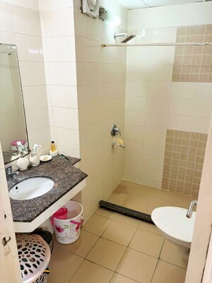 Bathroom in 1 BHK Apartment at Bestech Park View Residency, Sector 3 – for Rent