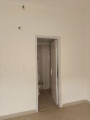 Room in 3 BHK Apartment at Amrapali Silicon City, Sector 76 – for Rent
