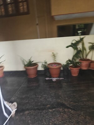 3 BHK Apartment For Rent in Bhartiya Nikoo Homes, Thanisandra Main Road