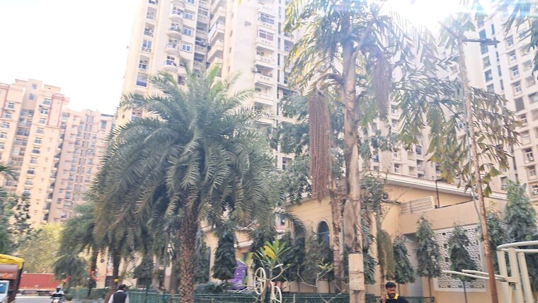 Exterior View, amrapali-silicon-city 3.5 Bedroom 1835 Sq.Ft. Apartment In Sector 76 Noida 10479796