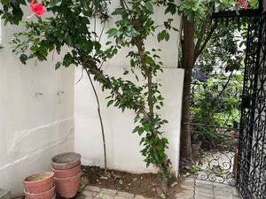 Balcony in 1 BHK Apartment at HM Memphis, Richmond Town – for Rent