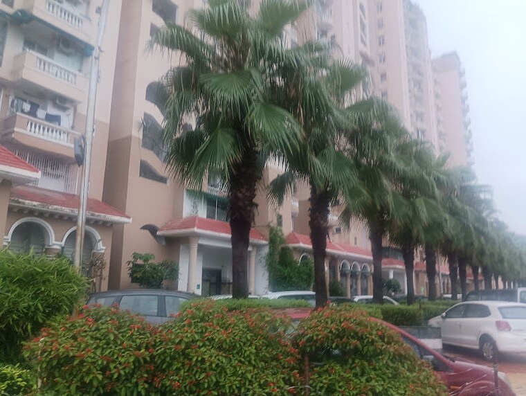 Exterior View, amrapali-sapphire 3 Bedroom 1640 Sq.Ft. Apartment In Sector 45 Noida 10490329