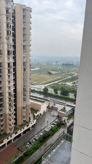 3.5 BHK Apartment – Exterior View View at Irish Pearls, Tech Zone 4 Greater Noida - for Rent