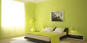 Bedroom in 6+ BHK Independent House at Pitampura – for Sale
