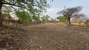Plot Area in  Plot at Bhukum – for Sale