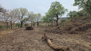Plot Area in  Plot at Bhukum – for Sale
