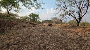 Plot Area in  Plot at Bhukum – for Sale