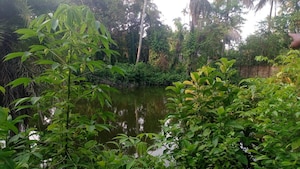  Plot – Garden View at Kolkatta Gpo - for Sale