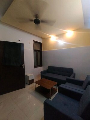 Living Room in 1 BHK Apartment at Saket – for Rent