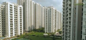 3.5 BHK Apartment For Rent in Mapsko Royale Ville, Sector 82