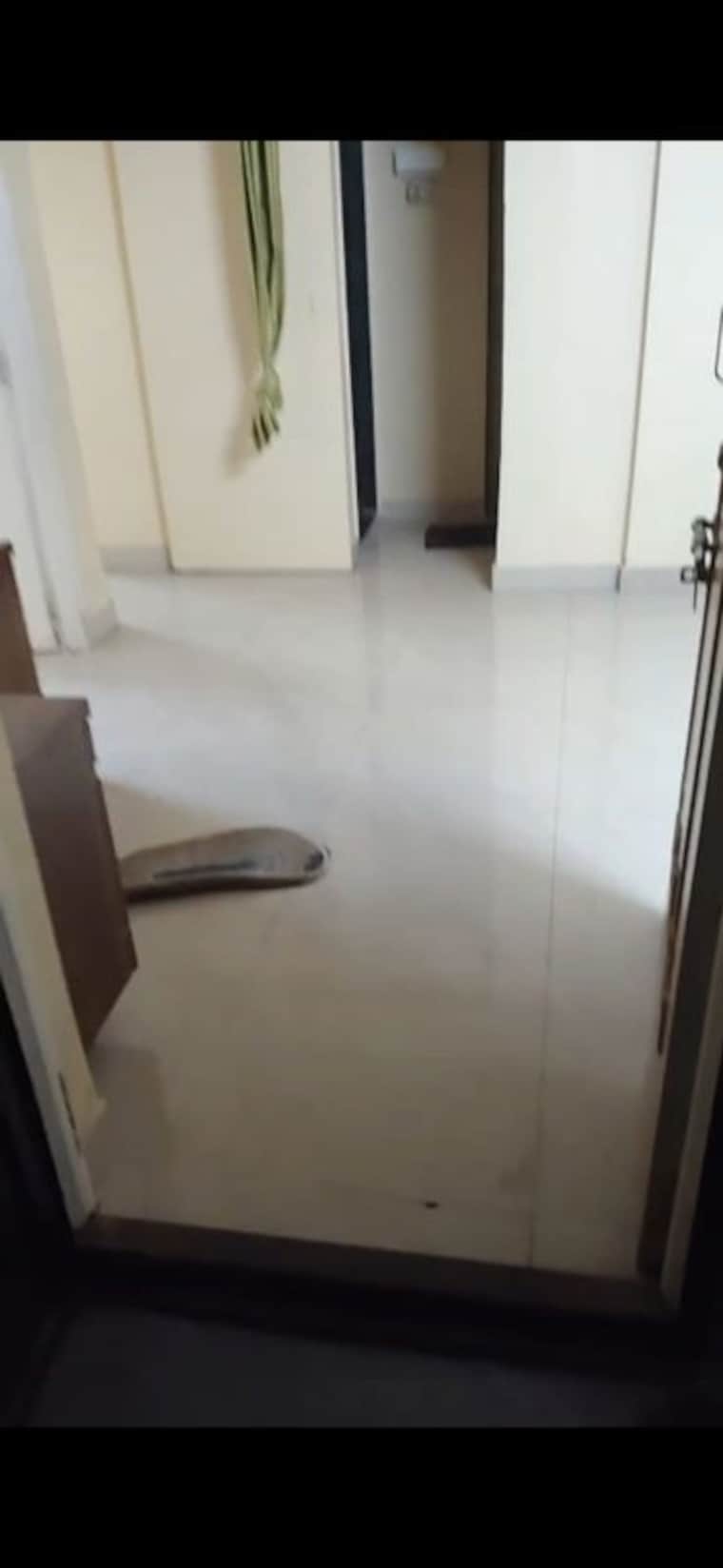 undefined, kothrud 2 Bedroom 700 Sq.Ft. Apartment In Kothrud Pune 10490898