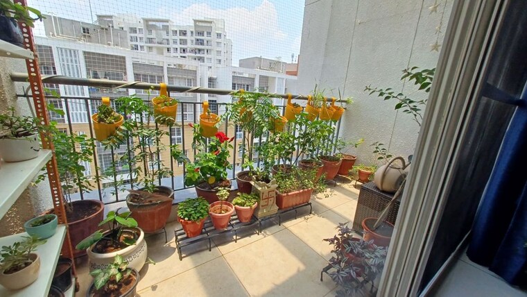 Exterior View, salarpuria-greenage 4 Bedroom 2800 Sq.Ft. Apartment In Hosur Road Bangalore 10491148