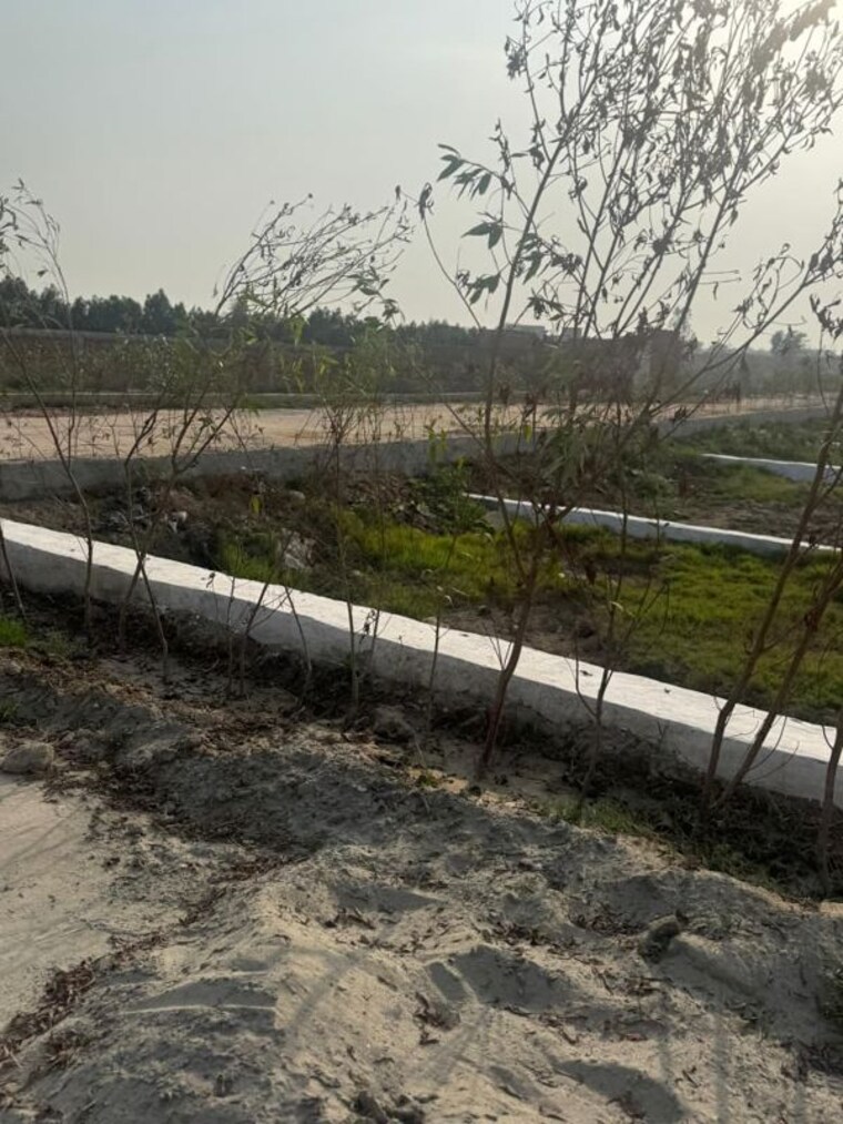 undefined, jewar  100 Sq.Yd. Plot In Jewar Greater Noida 10491107