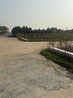 Plot Area in  Plot at Jewar – for Sale