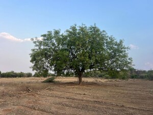 Plot For Sale in Srisailam Town