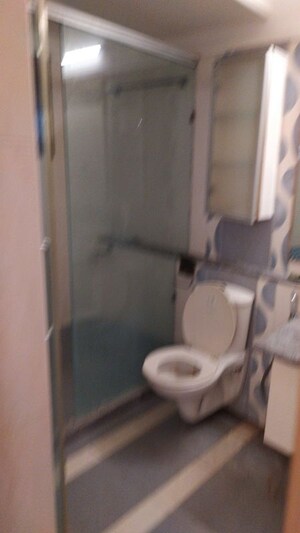 Bathroom in 2 BHK Apartment at Ellisbridge – for Rent