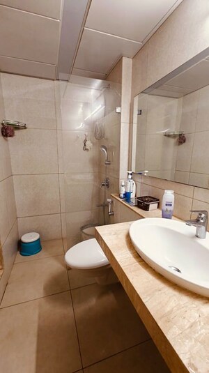 Bathroom in 2 BHK Apartment at L&T Emerald Isle, Powai – for Sale