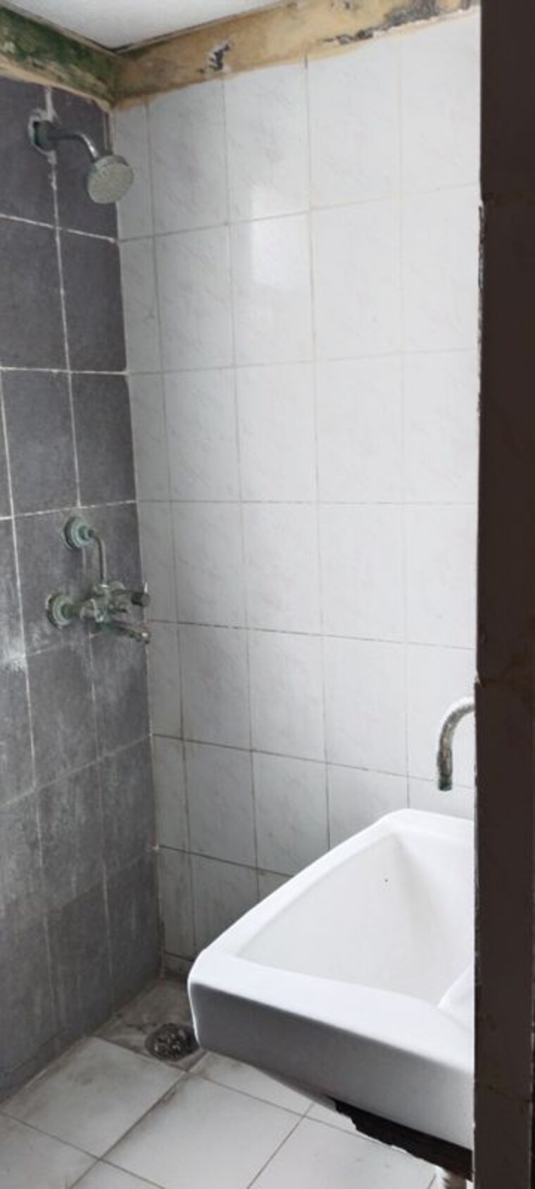 Bathroom, omaxe-heights 1 RK 200 Sq.Ft. Apartment In Sector 86 Faridabad 10492281