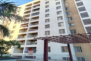 1 BHK Apartment For Rent in F5 Realtors Silver Crest, Wagholi