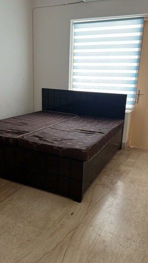 3 BHK Builder Floor For Rent in Sector 40