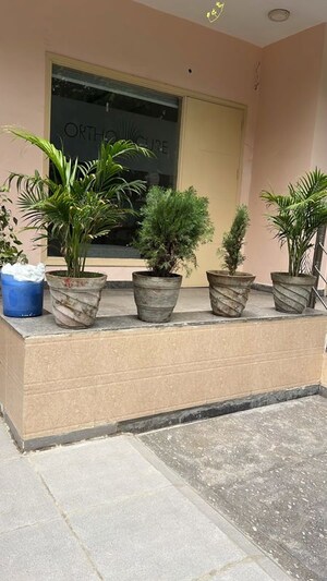Balcony in 3 BHK Builder Floor at Sector 40 – for Rent