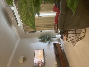Furnished Amenities in Studio Apartment at Central Park 3 The Room, Sohna Sector 33 – for Rent