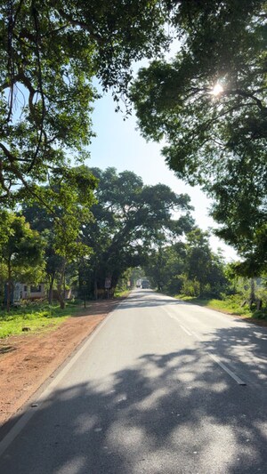   Plot at Hebbur – for Sale