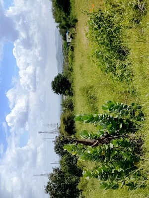  Plot For Sale in Ghotawade