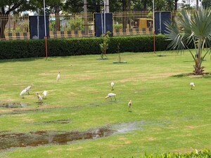  Plot – Garden View at Yashvi Golden Gate Residency, Farukh Nagar Sector 3 - for Sale