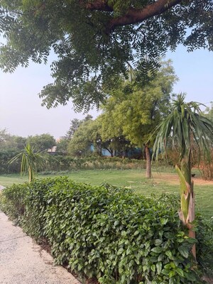 2 BHK Villa – Garden View at Jaunapur - for Sale