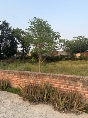 Plot Area in 2 BHK Villa at Jaunapur – for Sale
