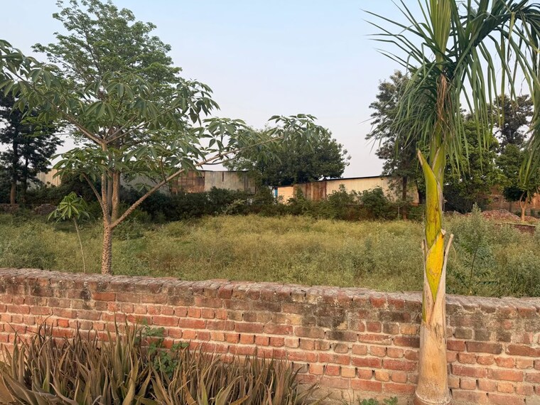 undefined, jaunapur 2 Bedroom 1600 Sq.Yd. Villa In Jaunapur Delhi 10493356