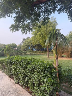 2 BHK Villa – Garden View at Jaunapur - for Sale