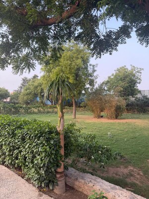 2 BHK Villa – Garden View at Jaunapur - for Sale
