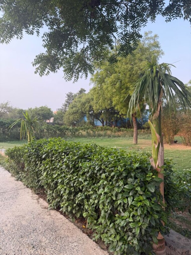 Garden, jaunapur 2 Bedroom 1600 Sq.Yd. Villa In Jaunapur Delhi 10493356