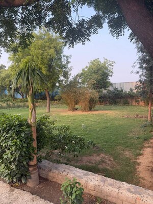 Plot Area in 2 BHK Villa at Jaunapur – for Sale