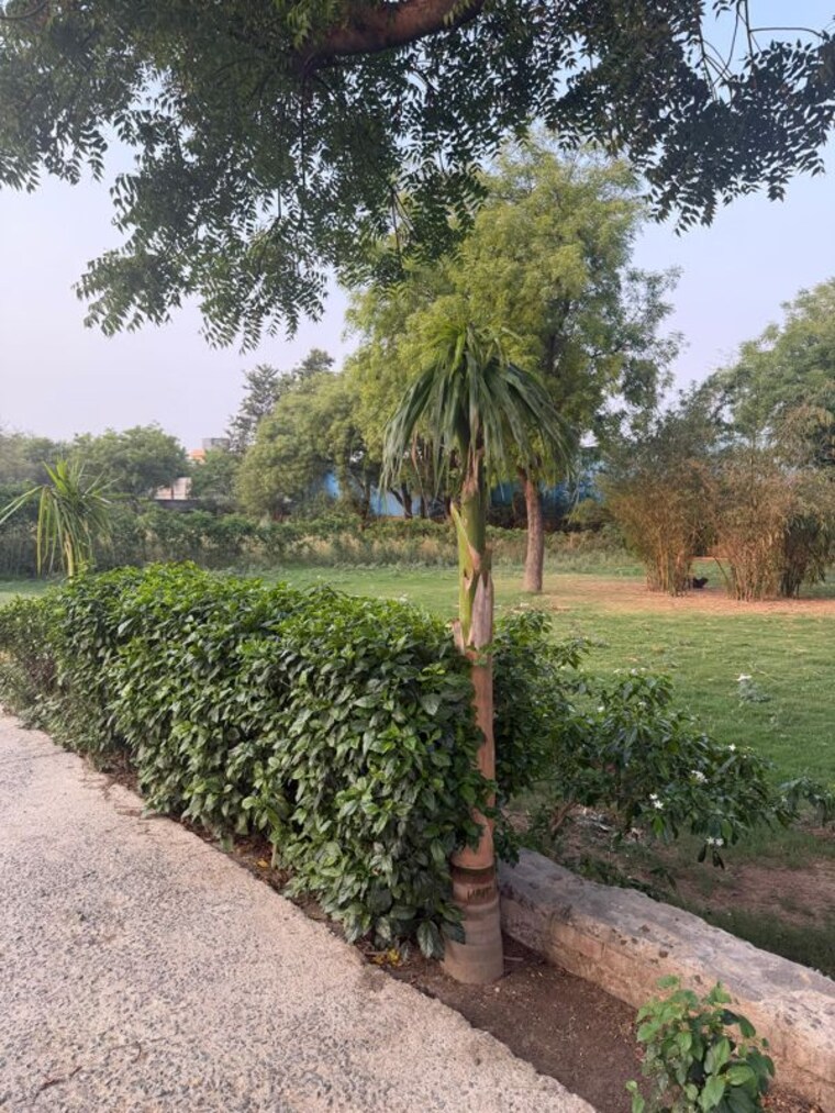 Garden, jaunapur 2 Bedroom 1600 Sq.Yd. Villa In Jaunapur Delhi 10493356