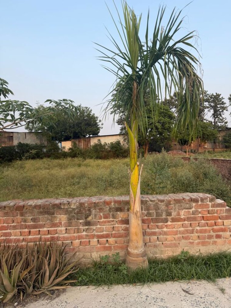Exterior View, jaunapur 2 Bedroom 1600 Sq.Yd. Villa In Jaunapur Delhi 10493356