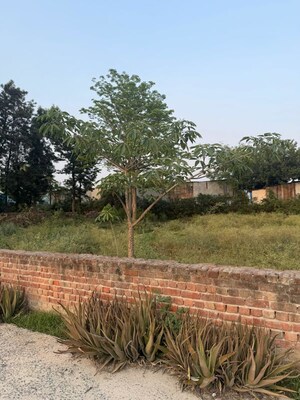 Plot Area in 2 BHK Villa at Jaunapur – for Sale