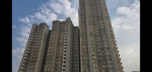 2 BHK Apartment For Rent in Pareena Micasa, Sector 68