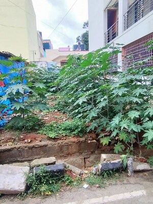  Plot For Sale in Kammanahalli