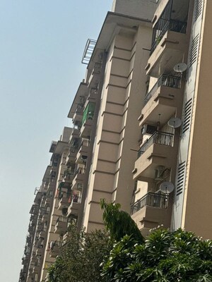 3 BHK Apartment – Exterior View View at Amrapali Grand, Zeta I Greater Noida - for Sale
